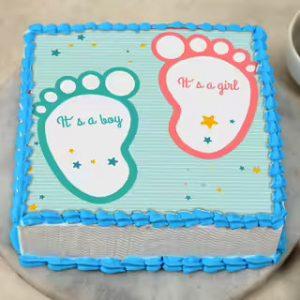 2.5 Pound Baby Shower Cake Cutest Design