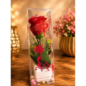 Flower Pot for Gifts