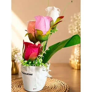 Flower Pot For Gifts (Medium)