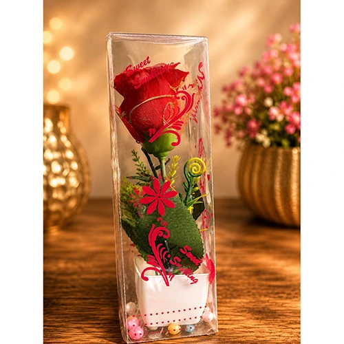 Flower Pot for Gifts